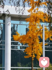 生活的樂趣，從來都不在于外在給你帶來了什么。
生活的樂趣，總是來源于自己。配圖