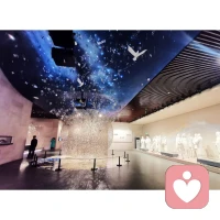 思維會關注好壞對錯，會憂慮過去未來，但感受不會，感受只在當下。
因此，我們要練習放下思維評判，把注意力拉回到當下，去感受世界。拋除一切雜念，用心專注感受當下的人、事、物，并全然投入其中，這便是心理學上所說的「正念」配圖