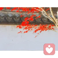 马斯洛：“当一个人开始迈向接纳自己的体验时，他会珍视欣赏自己及他人的本然实相；会真正地开始爱自己，他也会迈向接纳他人，有可能建立真正的亲密关系。”配图