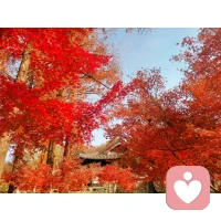 允许平凡，也是一种能力。配图