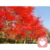 有效溝通，不是為了贏，而是為了解決問題。配圖