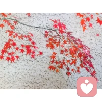 把自己放在第一位，认真照顾自己的身体和感受，在不伤害他人的基础上，做一切能让自己开心的事情，遵循自己的意愿生活。
生活已经给我们出了很多难题，所以我们要学会放过自己。配图