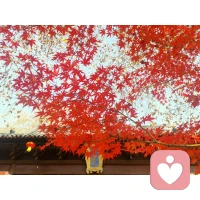 你的负面思维形成于童年时期，是小时候的你保护自己的一种方式。
但一个孩子无法过好一个成年人的生活。所以，当你有负面思想时，感谢那个孩子曾试图保护你。
然后作为一个成年人，去保护他们。配图