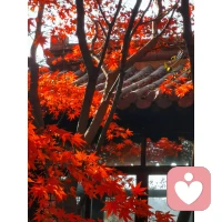 “母亲对女儿的意义，不仅是养育和爱护，还有榜样力量。活出更好的自己 ，是妈妈给女儿最好的礼物。”配图