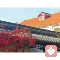 创伤不是一场竞赛，比你惨的人很多，并不意味着你的痛苦就不应该。所有的创伤都应该得到认可和疗愈。配图