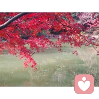 无论你的人生正经历怎样的困境，有一个方法是通用的，就是「先照顾你的身体」。
这里的照顾，既包括吃健康的食物，也包括运动锻炼，目的就是让人先恢复力量，然后才有可能走出低谷。——心理治疗师施图茨配图