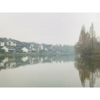 太顧忌別人怎么說自己，就像被一根繩子勒住，越拼命掙扎繩子勒得越緊，特別耗能。配圖