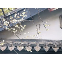 “世間最美的遇見大概就是，我剛好經過，你恰好盛開。”配圖