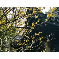 心理學(xué)上有個(gè)衡量心理是否健康的標(biāo)準(zhǔn)：孩子能活在現(xiàn)實(shí)世界、經(jīng)得起挫折；還是活在想象世界，一受挫就縮回去？如果孩子受挫后雖然難受，甚至埋怨自己和別人，但休息一段時(shí)間，還是會(huì)想要再試一試，那說明他經(jīng)得起挫折。配圖
