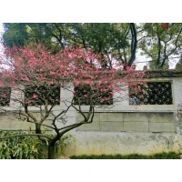 一段好的關系，要敢于表達恨。否則，對方對你的傷害
就會不斷加深，他明明傷害了你，你卻沒有做出你真實的回應，那么你既沒有尊重你自己，也沒有尊重他，也沒有尊重你們的關系配圖