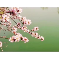遠離擾亂你情緒的人或事
如果你跟對方相處不舒服，那就減少接觸；如果你做這件事，情緒很負面，那就停止做下去。
先過濾你的圈子，再調整你的情緒。
如果你周圍都是讓你不舒服的人，每天重復你討厭的事；就算你再樂觀，自我調節能力再強，也抵不過抑郁向你侵蝕的速度。配圖