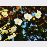 “在我們成長過程中，常常會遇到無數的惡意，被誤解、被斥責、被打擊。我們開始自卑、封閉、懷疑；最后，我們忘記了怎么愛自己，本該閃閃發光的我們，陷入了黑暗的谷底。
此時，多希望有一道光，帶我們走出黑暗，找回自己。”
我們一起努力，去找到那道光！配圖