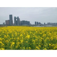 李雪：“理解現實邊界，理解什么是自己的責任，什么是不可掌控的客觀現實。在現實邊界中，從容地做滋養自己的事情，警覺自身，不去侵犯他人的邊界，不去承擔不屬于自己的責任。”配圖