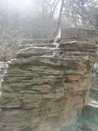 自卑與渴望

自卑不是能力差
而是自我不接納
怕露怯，怕丟臉
怕不被別人喜歡
內(nèi)心深處是
幼年對愛的渴望配圖