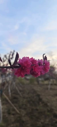 在可能的地方創造，在必要的地方忍受，因為忍受本身也有體驗性價值。
負責地生活，不僅意味著擁抱自己和身邊的人，還意味著擁抱這個世界。
存在先于本質，你下一刻的存在就是由你此刻的存在創造出來的。配圖