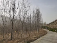 對(duì)于大多數(shù)人來說，他們認(rèn)定自己有多幸福，就有多幸福。配圖