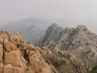 人，就像寒冬里的刺猬，靠得太近會痛，離得太遠會冷。配圖