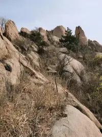 即便是看透了對方的某種行為或者想法的動機，也需裝出一副遲鈍的樣子，此乃社交之訣竅，亦是對人的憐恤。配圖