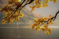 孤獨(dú)并不是來自身邊無人。感到孤獨(dú)的真正原因是因?yàn)橐粋€(gè)人無法與他人交流對(duì)其最要緊的感受。配圖