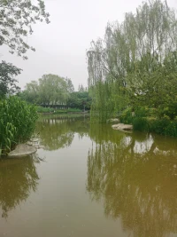 當愛支配一切時，權力就不存在了，當權力主宰一切時，愛就消失了，兩者互為對方的影子。配圖