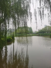 心理咨詢的主要目的，并不是使來訪者進入一種不可能的幸福狀態(tài)，而是幫助他們樹立一種面對苦難，哲學式的耐心和堅定。配圖