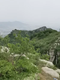 即便是你最心愛的人，心中都會有一片你無法到達的森林。配圖