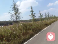 天下事無所謂大小，只要在自己責任內，盡自己力量做去，便是第一等人物。配圖