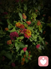 心懷大愛做小事配圖