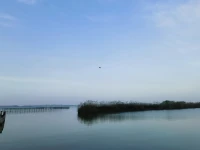 有研究结果表明，人类是先有状态，后有情绪：因为你哭了，所以你难过。如果你想拥有好情绪，无论如何，先给自己摆出一个笑容，你会发现，你的心情很快就能变好，这就是正能量。