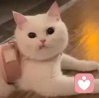 如果父母把“你不孝順”當做緊箍咒來控制你，怎么辦呢？那就承認好了。我就是不孝順。摘下緊箍咒，才有自由。配圖