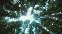 时机有时候也可能是一个关键的问题，你也许想要安顿下来，但对方不愿意，或者相反，也许你想慢慢来，而对方喜欢速战速决。或者，你刚刚结束了一段长期的恋爱关系，而你感兴趣的人不愿意做你空窗期的备胎。配图