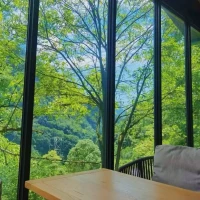 张爱玲一生特立独行，她说：如果你认识从前的我，也许会原谅现在的我。
她不在乎外界评价，只忠于自己的文字与生活，最终成为文学史上无法复制的传奇。  配图