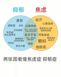 焦虑和抑郁自查表，
如果最近出现了以下症状，
可以通过心理咨询及时干预。