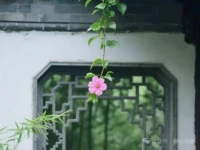 当你把模糊的担忧变成清晰的行动，问题就开始变小，而你开始变强。配图