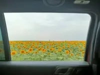 真正的允許不是憋了一肚子氣不說，而是這件事不再能影響我的情緒。配圖