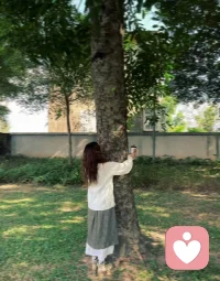 試著每天抬頭看看樹、張開雙臂抱抱樹，感受大自然賦予的強(qiáng)大生命力，你也會(huì)長(zhǎng)出新的生命脈絡(luò)，慢慢地好起來。配圖