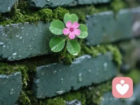 減少對(duì)外界的依賴，培養(yǎng)自給自足的能力。
安全感來自于我能承擔(dān)，而非別人會(huì)不會(huì)幫。配圖