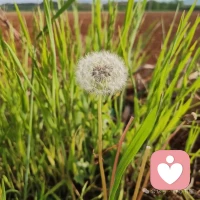 改變命運的，從來不是某個驚天動地的決定，而是清晨鬧鐘響起時，你選擇按掉還是起身。
命運從不偏愛幸運兒，
只是偏袒那些摔倒了仍愿起身奔跑的人。?
等，只會荒蕪。走，才有出路。
珍惜你的低谷，你會看到很多真相，
時間能渡的都是愿意自渡的人，
沒有誰的人生一帆風順。
不是你的能力決定了你的命運，
而是你的決定，改變了你的命運。配圖