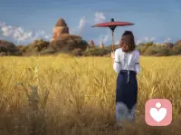 其实幸福从没有统一的标准答案，它不在别人的光鲜生活里，而在你自己的感受中。