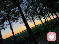 爱一个要全力以赴才不会后悔，
如果每次都怕失去和担心自己受伤，
那么永远也不会遇到真爱，有所保留的爱，归根结底还是不爱。