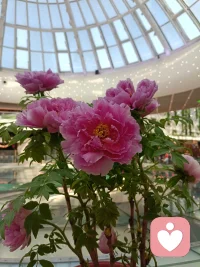 情绪真是一个折磨人的事情，恐惧、不安、难以入睡。
探索情绪背后的问题，可以让人恢复平静，心灵获得自由。配图