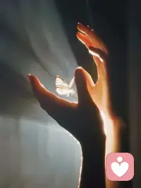 世间最珍贵的不是‘得不到’和‘已失去’，

而是此刻把握的幸福。

——苏格拉底配图