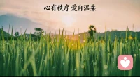 ❤️爱的太累，是因为你没守住秩序。
爱是生命中最强大的力量，
但它需要秩序才能真正发挥作用秩序，
是尊重尊重每一个人的位置，
尊重每一段关系，
尊重每一份命运，
当爱与秩序相遇，
爱就不再是盲目的纠缠，
而是清晰的流动，
是温柔的支持，
是深深的祝福。配图