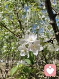 人到中年，需要的不是被灌输捷径，而是明白生活的复杂性与局限性。
深耕专业、沉淀智慧，才是人生下半场真正的底气。配图