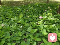 周一早安！
多晒太阳，多运动～
给心灵充饱电，可以更好的应对接下来一周的工作。配图