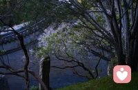 卡尔·荣格早已点破：焦虑并不来自未来，它源于过去未被处理的恐惧、未曾正视的创伤、以及那个始终认为“放松是不安全”的你。你所有的担忧，不过是内心深处的阴影，在借由当下的人和事，重新浮出水面。