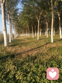 靜坐一會，內心清明了很多。配圖