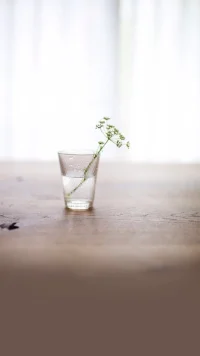 生活，一半烟火，一半清欢。

幸福，一半争取，一半随缘。

人生，一半清醒，一半释然。配图