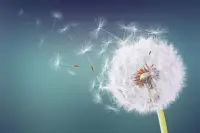 未来是奇幻美丽的，未来是充满活力与希望的。配图