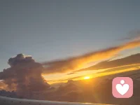 看見
——魯米

我看見你的冷漠
卻想去溫暖這個冷漠
我看到
其實(shí)我還沒接納你的冷漠

我看見你的痛苦
卻想去結(jié)束這個痛苦
我看到
其實(shí)我并沒有陪伴你的痛苦

我看見你的自私
卻去評判你的自私
我看到
其實(shí)真正涌動的是我的自私

我看見你的憤怒
卻想躲開你的憤怒
我看到
其實(shí)我沒有允許你可以憤怒

我看見你的焦慮
卻去擔(dān)心你的焦慮
我看到
其實(shí)我已開始陷入焦慮

我看見你的無力
卻不知道要伸哪只手來抱你
我看到
其實(shí)當(dāng)下我也無力

我看見你的美麗
并欣賞著你的美麗
我看到
當(dāng)下我也開始美麗

我看見你的善良
并喜悅著你的善良
我看到
原本我亦善良

我看見你的付出
不帶任何條件
我看到
其實(shí)我也學(xué)會將自己分享

我看見你的純粹
只是
做自己想做的事
愛自己想愛的人

走自己想走的路
痛了就哭，喜了就笑
累了就歇，好了就走

我也看到了自己
如果對于看見
只是看見
病接納所有的看見
而不要想要馬上去改變

透過看見
臥看見了自己
也看到
生命原本的純粹與全然。配圖